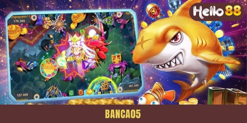 banca05