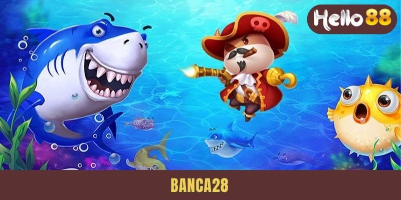 banca28