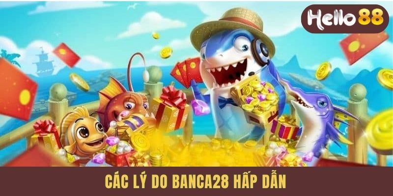 Các lý do banca28 hấp dẫn
