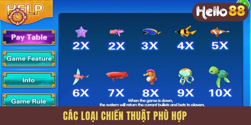 Các loại chiến thuật phù hợp