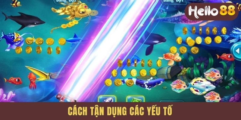 Cách tận dụng các yếu tố