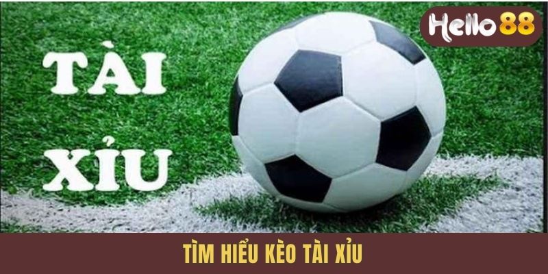 Tìm hiểu kèo tài xỉu