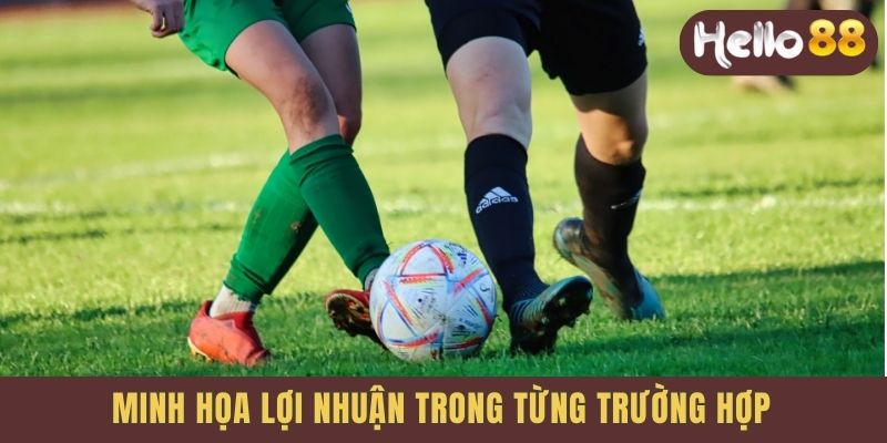 Minh họa lợi nhuận trong từng trường hợp